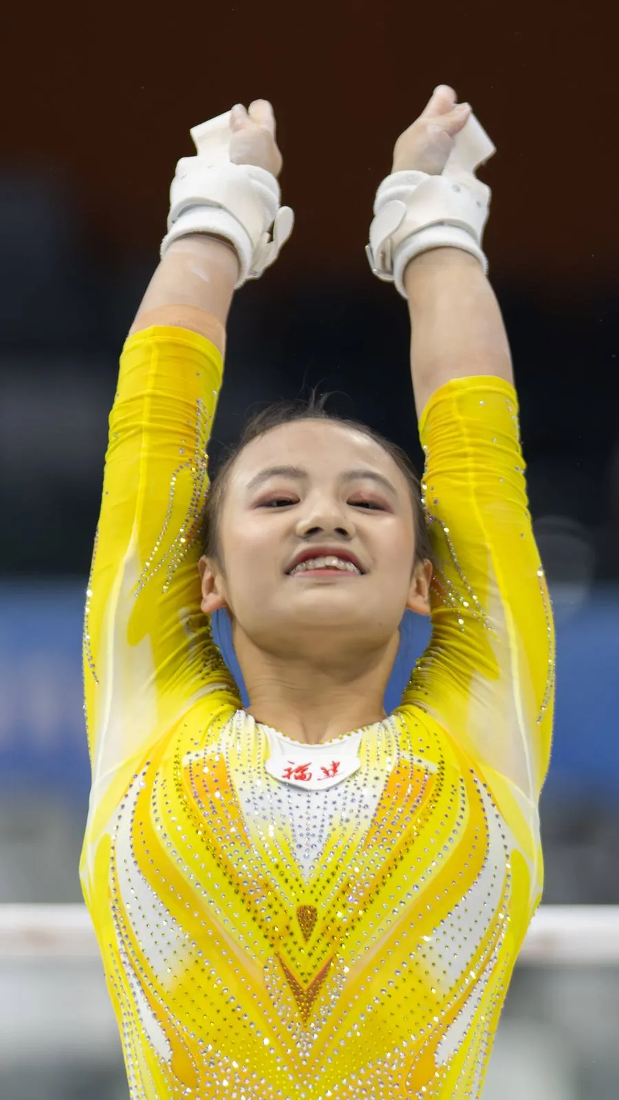 Qiyuan Qiu