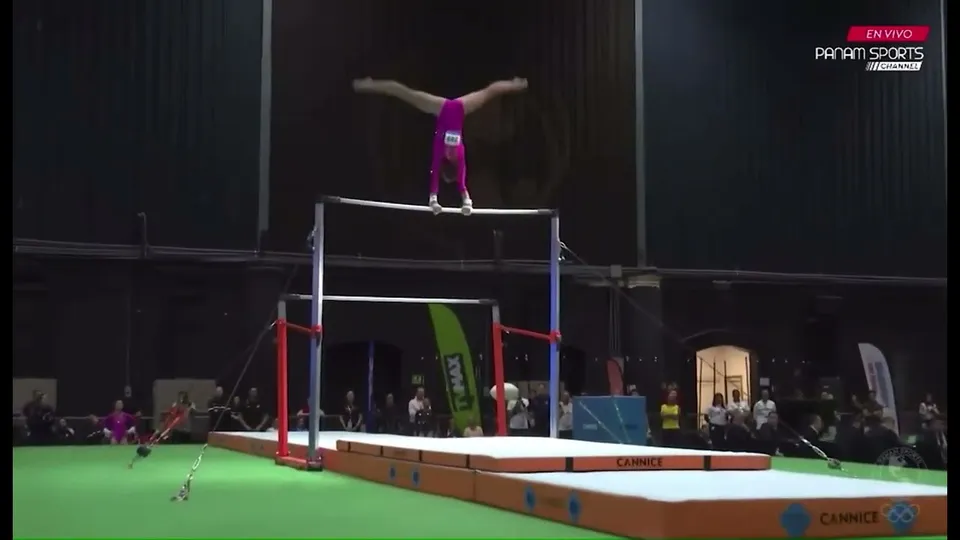 Gabrielle Hardie · Bars
