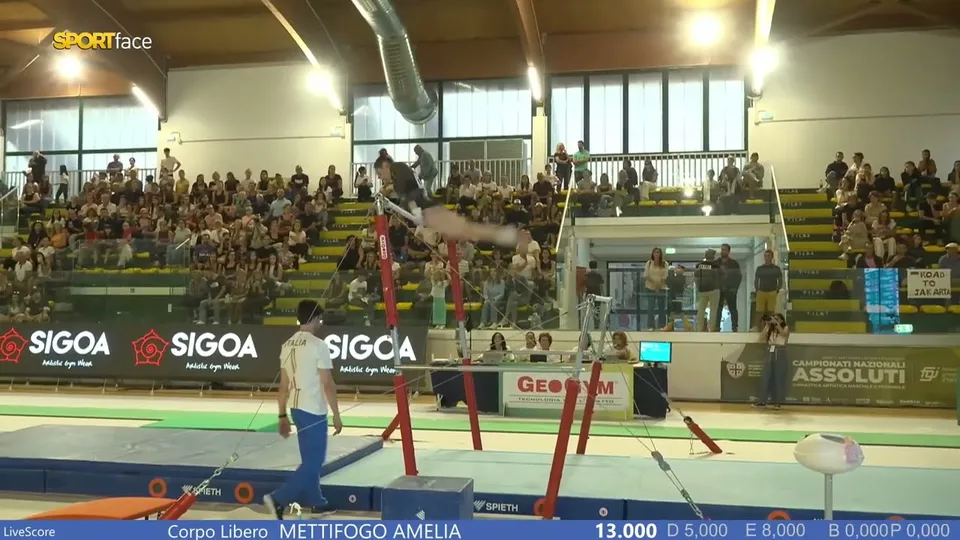 Elisa Iorio · Bars