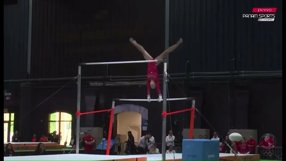 Gabrielle Hardie · Bars