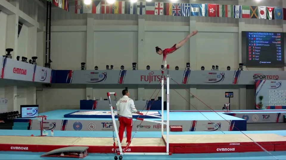 Xinyi Qin · Bars
