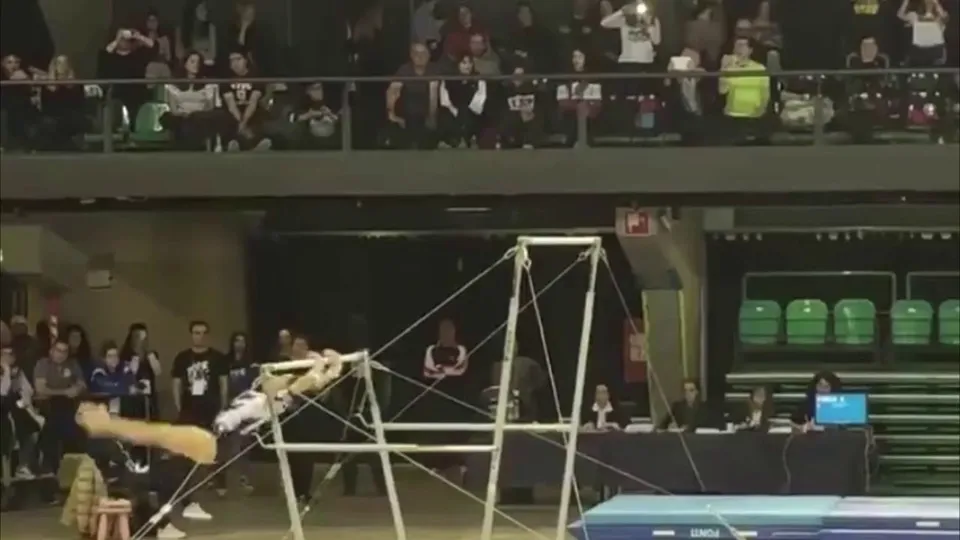 Elisa Iorio · Bars