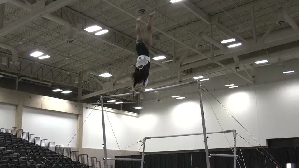 Amia Pugh-Banks · Bars